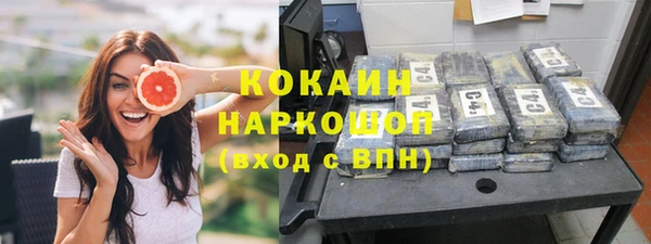 крисы Баксан