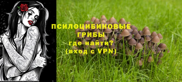 крисы Баксан