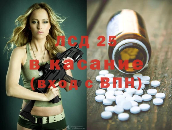 крисы Баксан