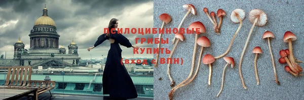 крисы Баксан